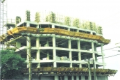 Estrutra